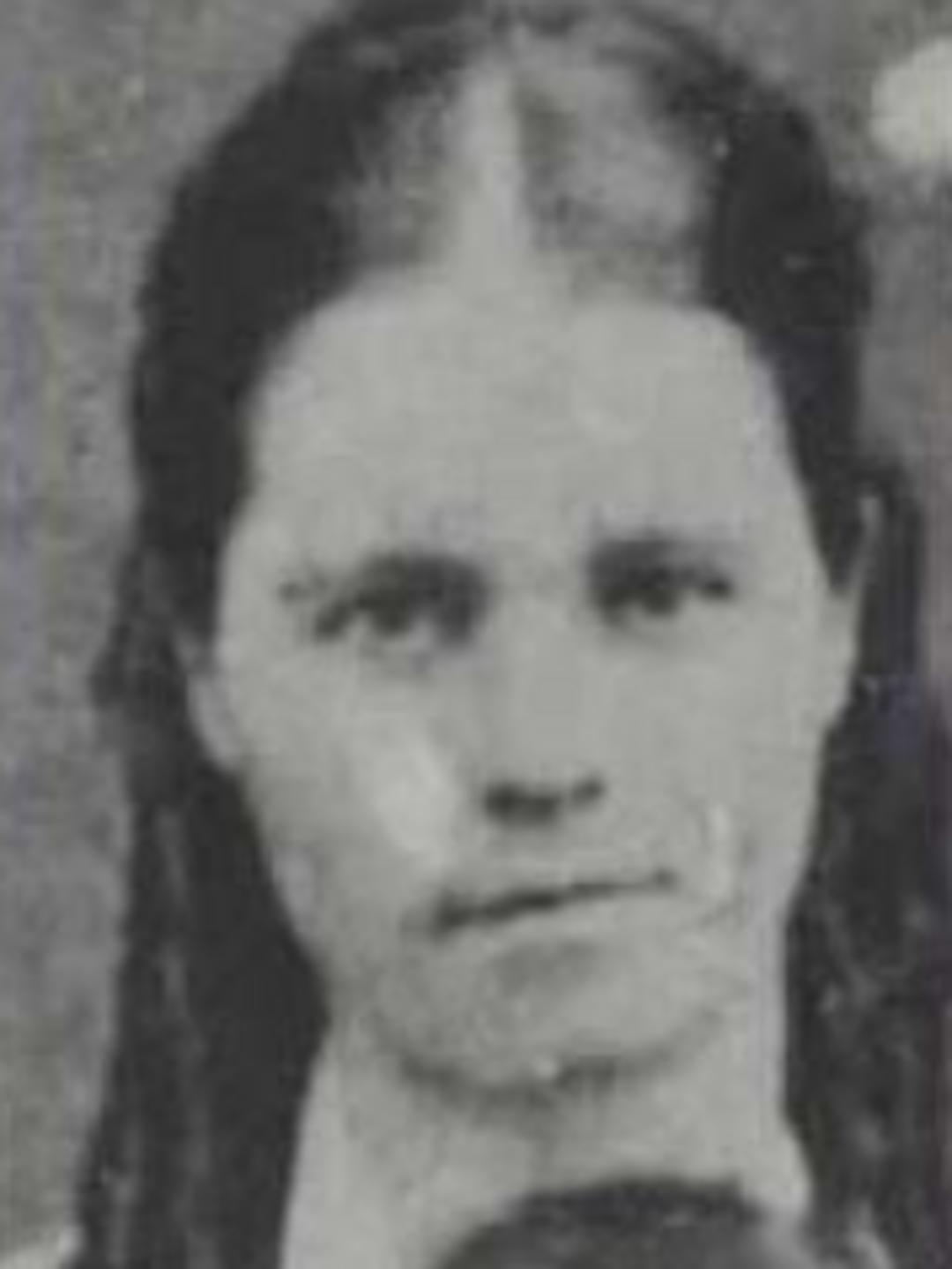 Sarah Ann Eames (1848 - 1909) Profile